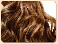 Sheitel Package